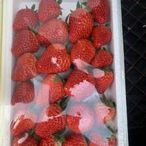 优质红颜草莓，产地直发，货源充足，品质保证欢迎采购