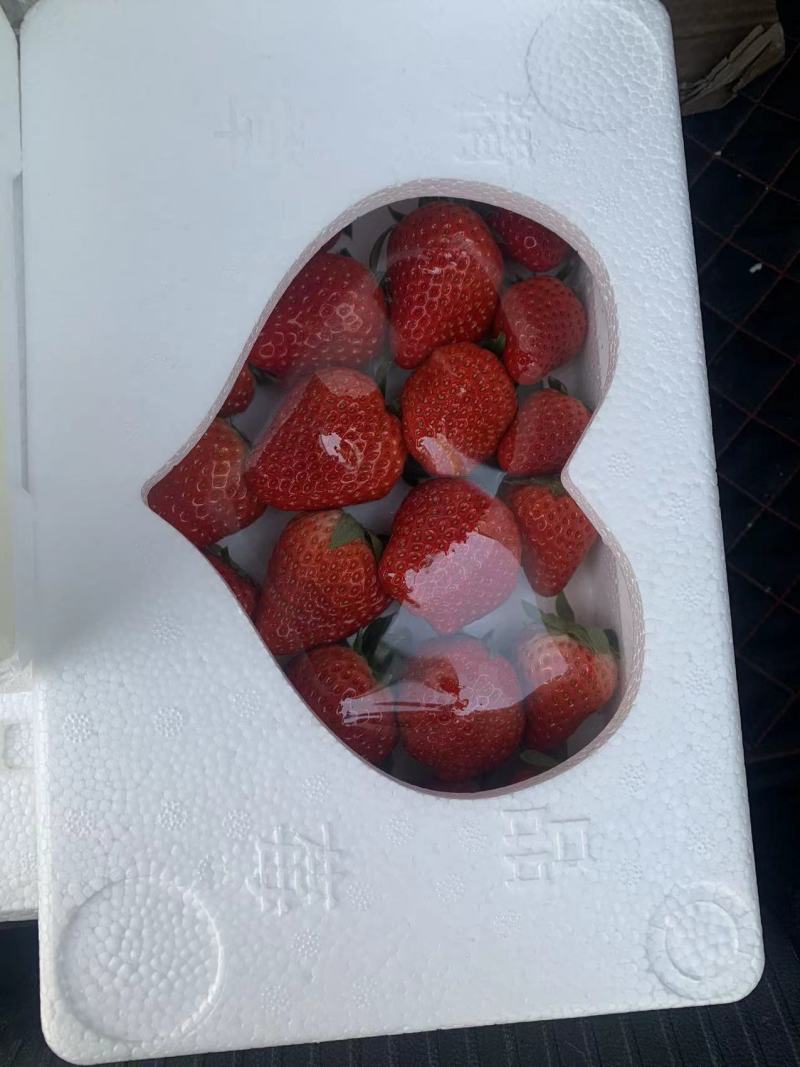 优质红颜草莓，产地直发，货源充足，品质保证欢迎采购