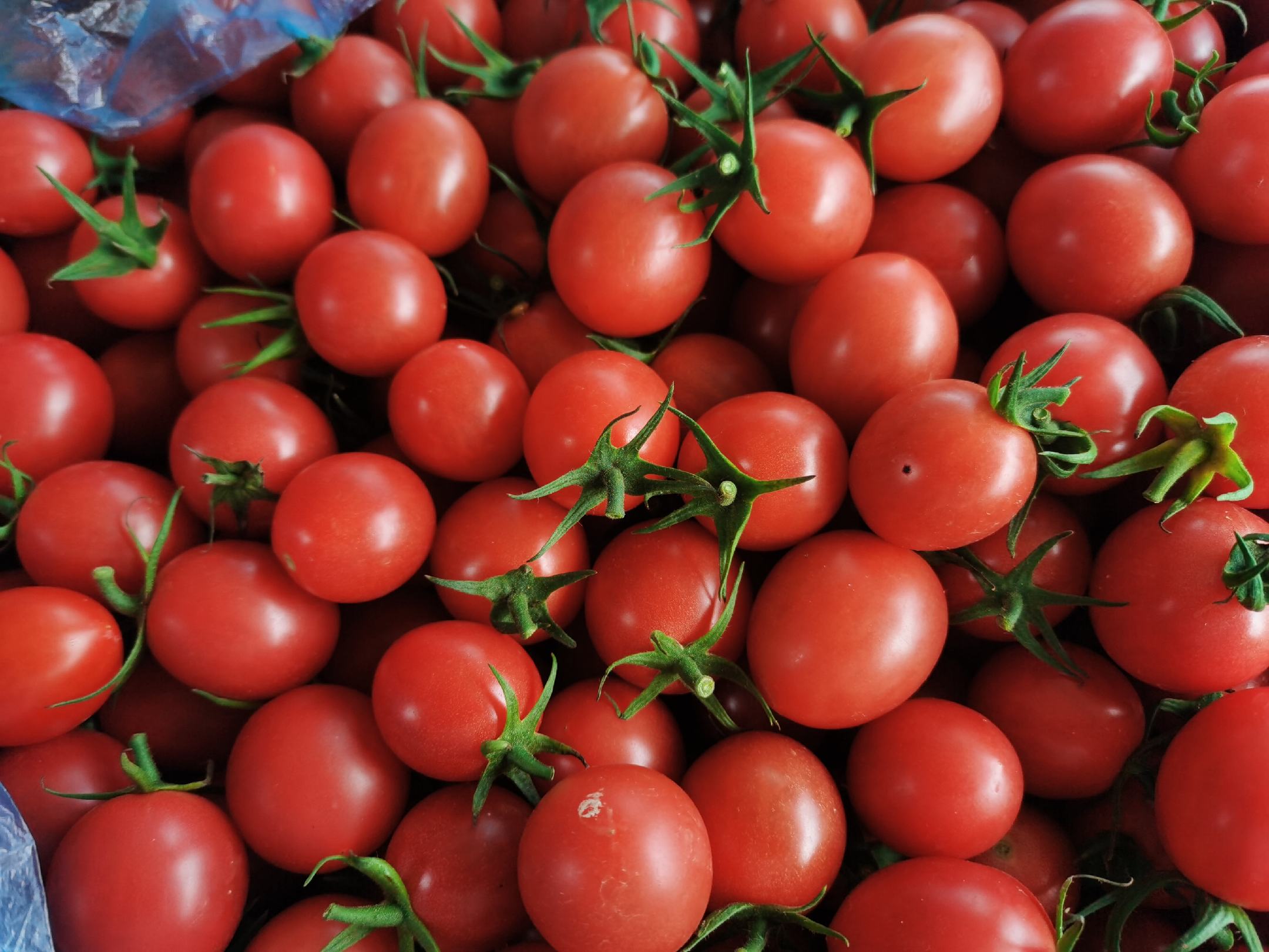 千禧圣女果的多种食用方式