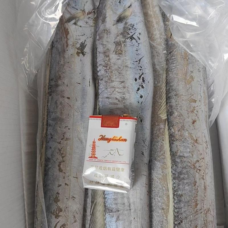 批发国产精品带鱼产地直发一手货源保证小眼带鱼