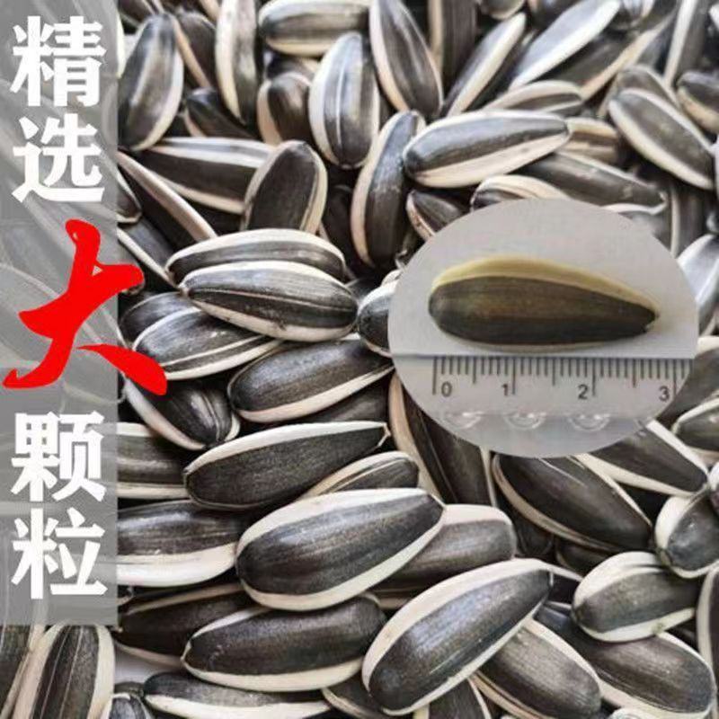 2023熟瓜子新鲜原味颗粒大袋便宜葵花籽散装袋装休闲零食