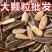 2023熟瓜子新鲜原味颗粒大袋便宜葵花籽散装袋装休闲零食