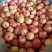 烟台栖霞冷库一二级苹果大量出库中清脆甘甜可口