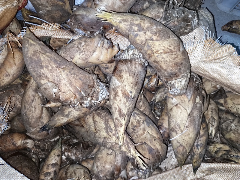 冬笋产地实力代办支持各种订单加工，电商货源充足