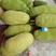 海南菠萝蜜马来西亚一号，市场批发，地摊零价格从优欢迎合作