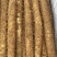 大量供应宁夏沙漠白玉山药