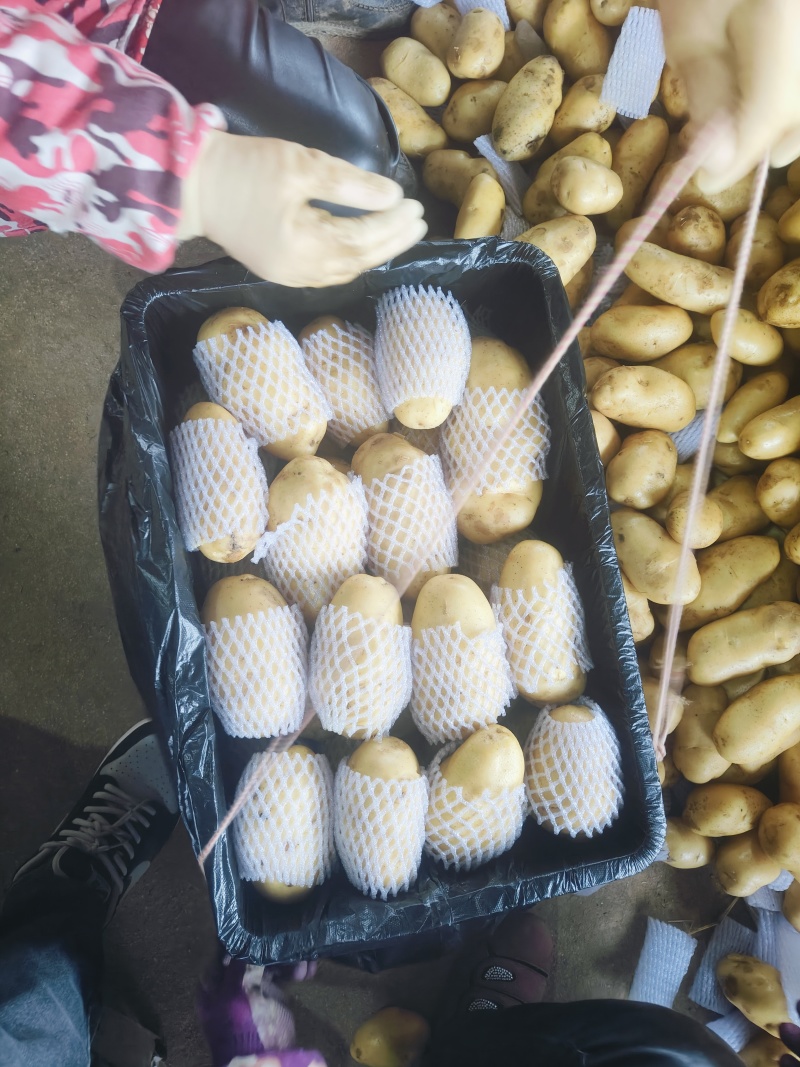水洗滕州冷库箱子货，四两以上装箱上套，大量现货