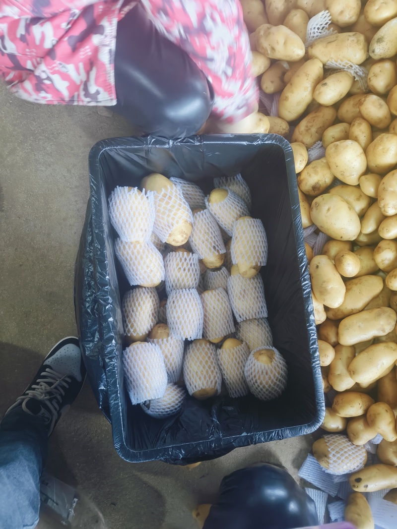 水洗滕州冷库箱子货，四两以上装箱上套，大量现货