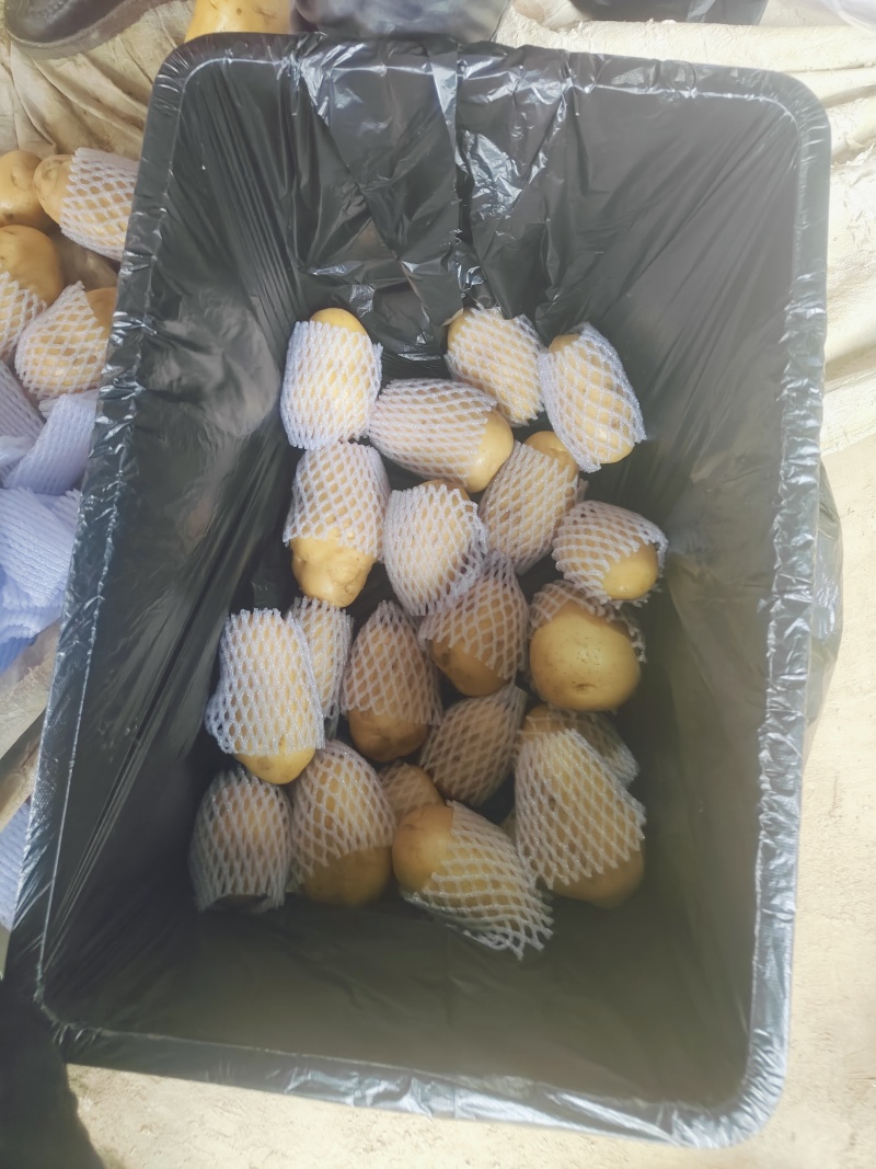 水洗滕州冷库箱子货，四两以上装箱上套，大量现货
