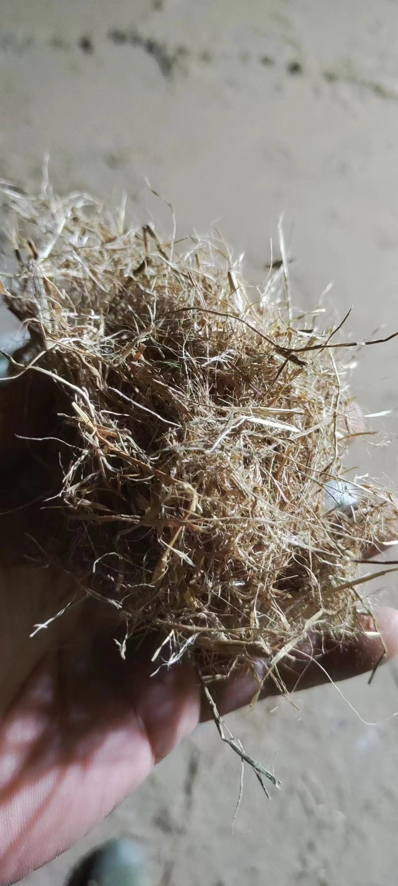 草纤潍，稻草草纤维，护坡用草