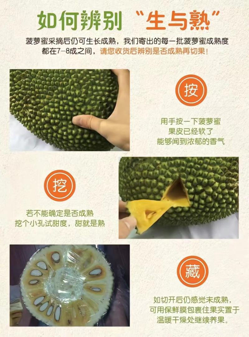 云南西双版纳红肉菠萝蜜青皮新鲜水果一件代发批发
