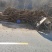 野生葛根