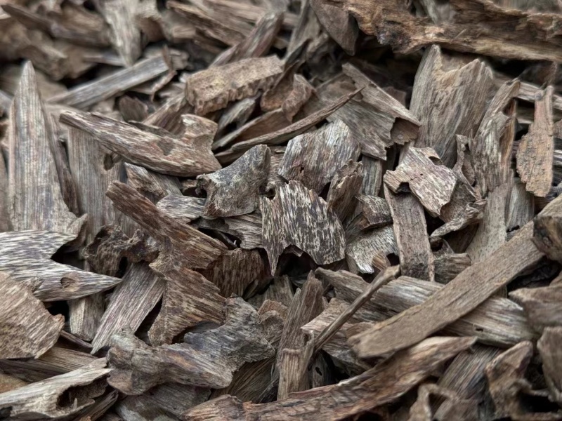 芽庄虫漏-无中间商赚差价