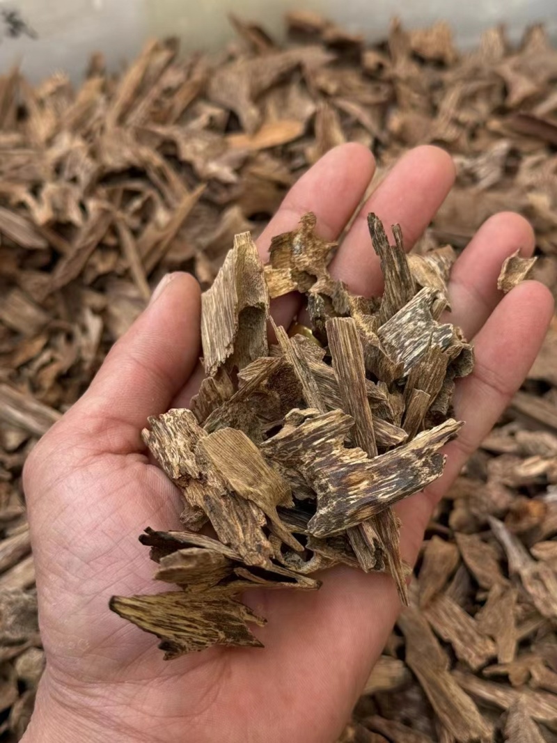 芽庄虫漏-无中间商赚差价