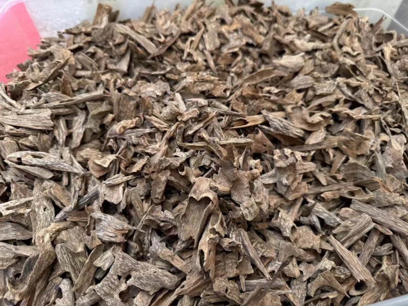 芽庄虫漏-无中间商赚差价