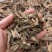 芽庄虫漏-无中间商赚差价