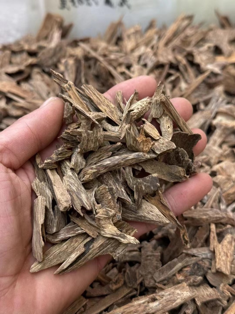 芽庄虫漏-无中间商赚差价