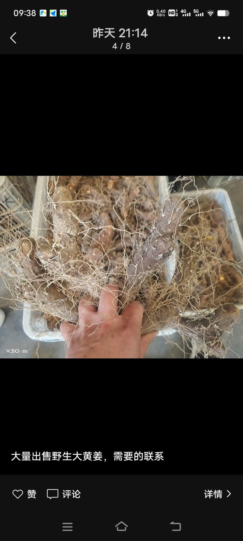 火土根、黄姜
