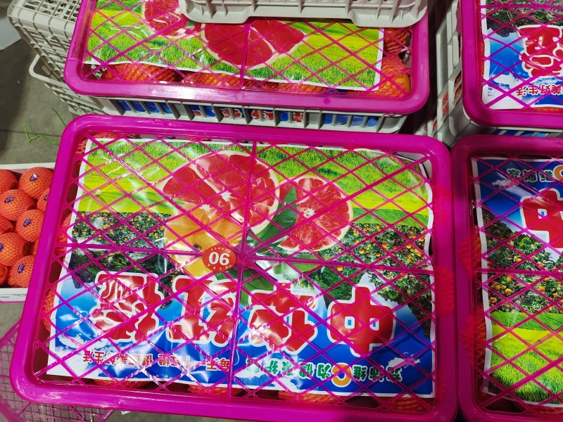 秭归脐橙橙子血橙红肉脐橙甜橙子湖北橙子产地直供一手货源