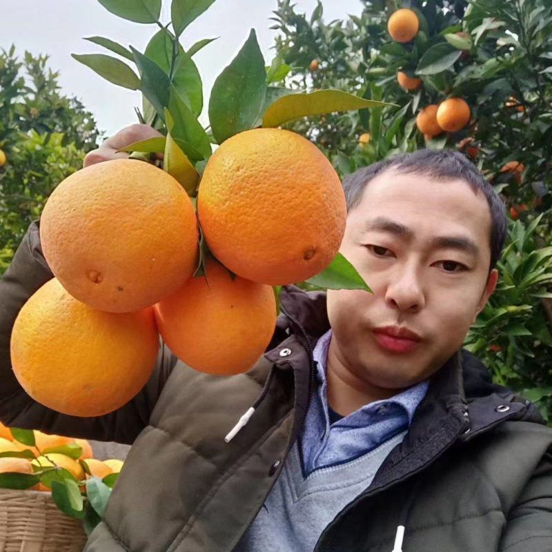 纽荷尔橙子