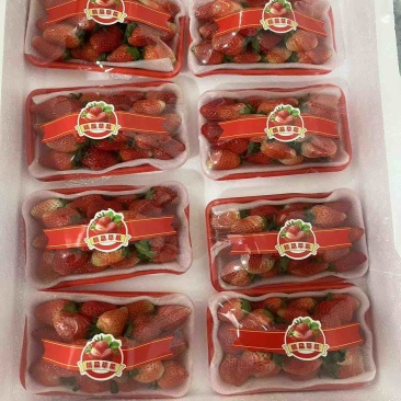 安徽阜阳闻集天仙醉奶油草莓