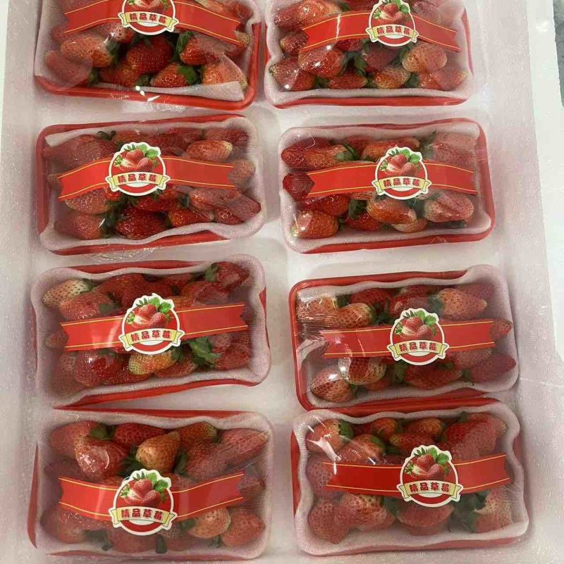 安徽阜阳闻集天仙醉奶油草莓