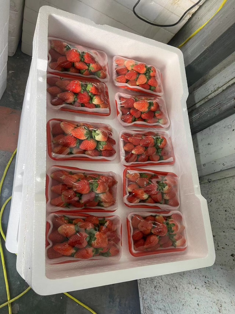 安徽阜阳闻集天仙醉奶油草莓