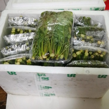 山西运城香椿芽对接电商市场商超等各类客户