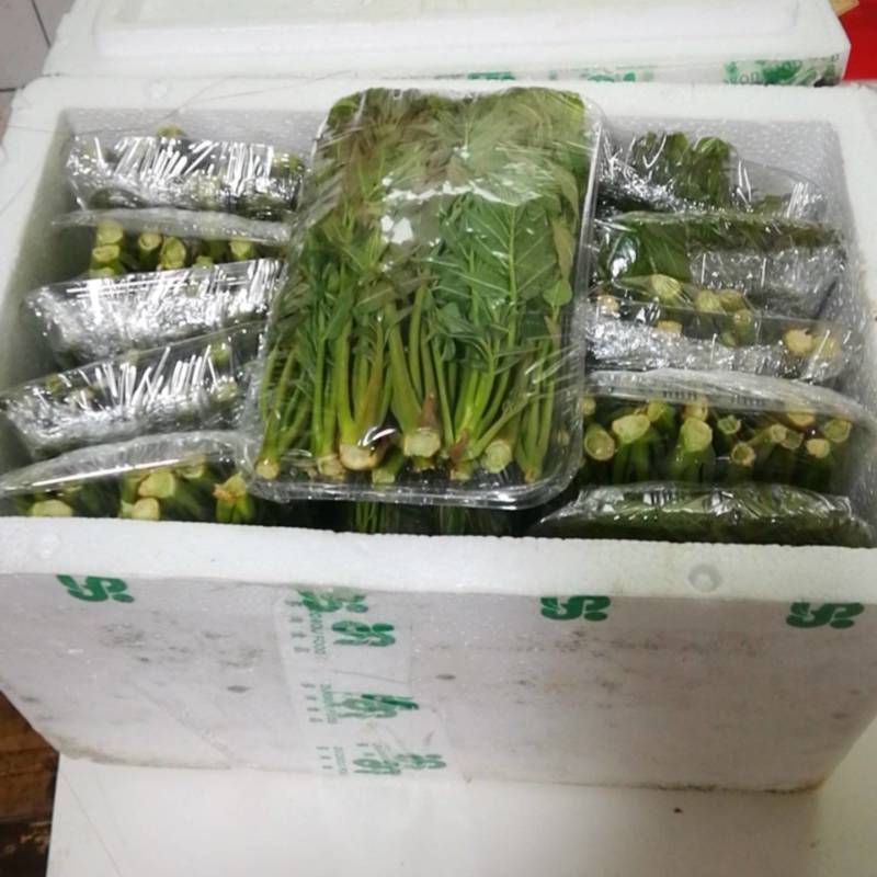 山西运城香椿芽对接电商市场商超等各类客户