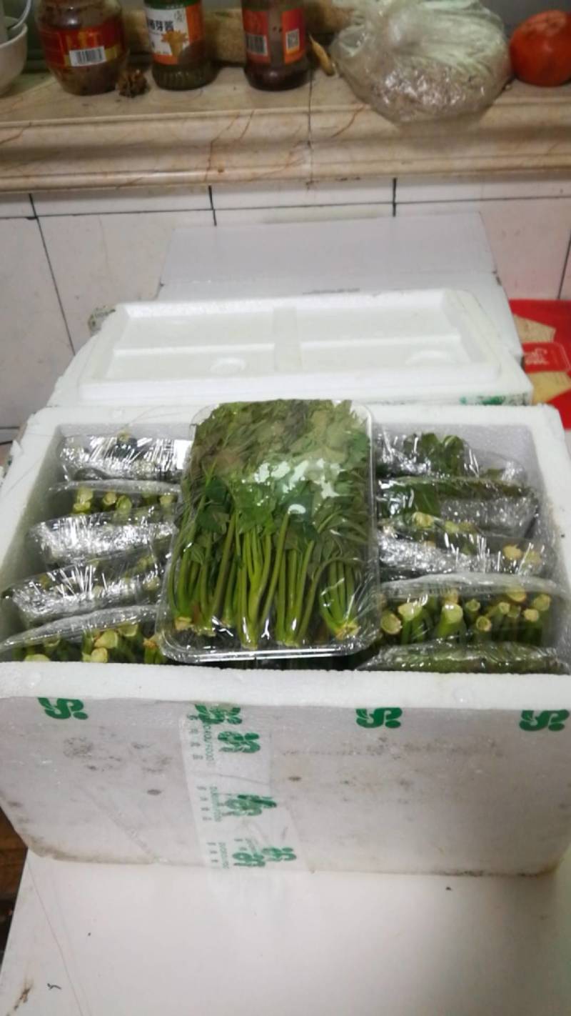 山西运城香椿芽对接电商市场商超等各类客户