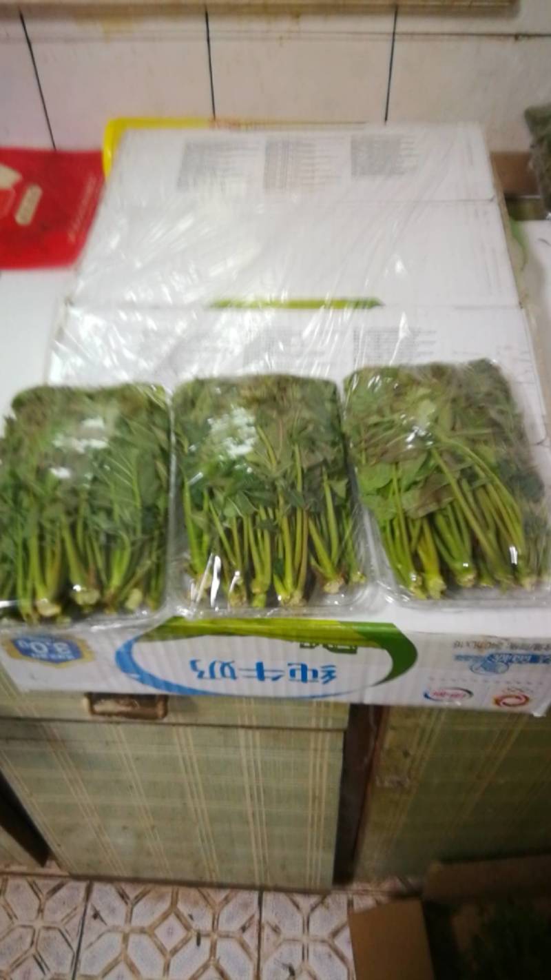 山西运城香椿芽对接电商市场商超等各类客户
