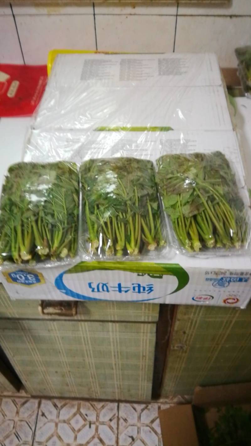 山西运城香椿芽对接电商市场商超等各类客户