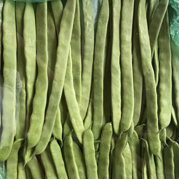 昆明芸豆