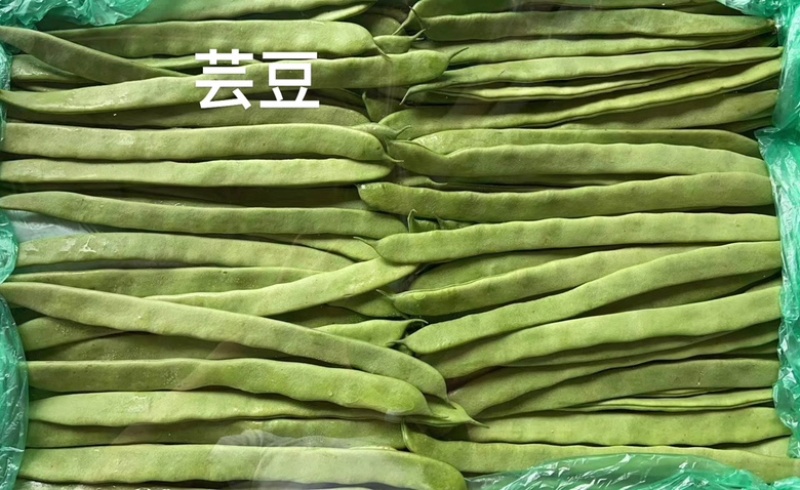 昆明芸豆