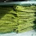 昆明芸豆