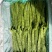 昆明芸豆