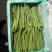 昆明芸豆