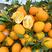 台湾木瓜蜜丁橙子，产地实力代办十几年