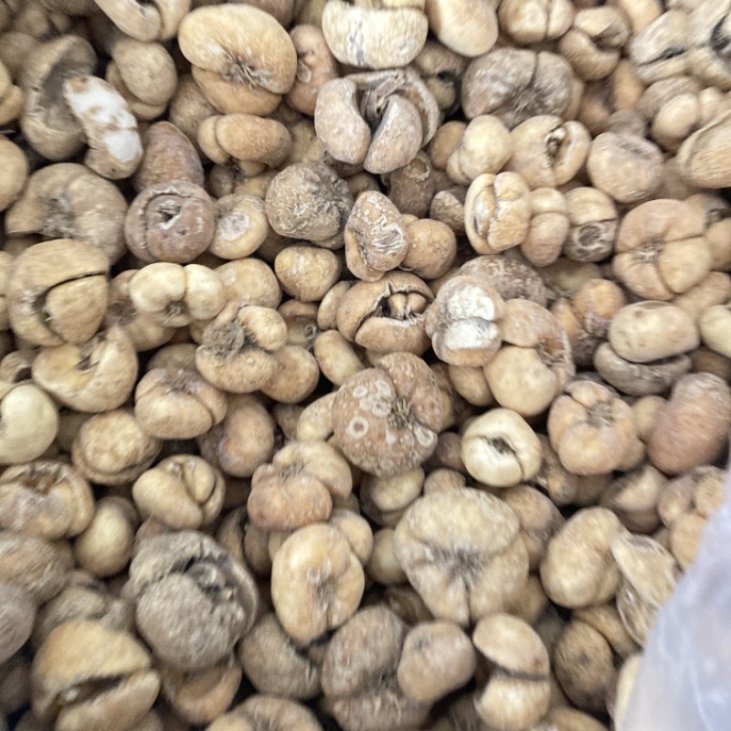 浙贝母现货处理，另经营其他药材千种需要私聊