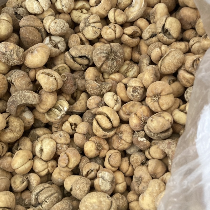 浙贝母现货处理，另经营其他药材千种需要私聊