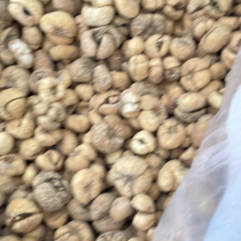 浙贝母现货处理，另经营其他药材千种需要私聊