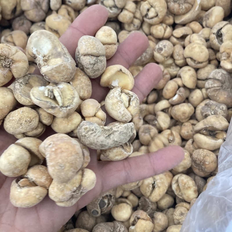 浙贝母现货处理，另经营其他药材千种需要私聊