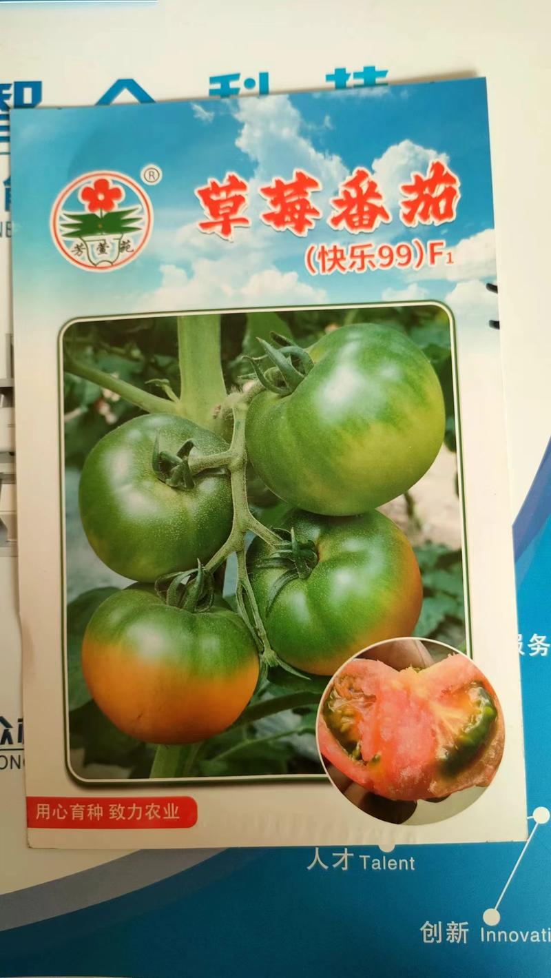 草莓番茄种子，早熟正圆，番茄味浓，抗病性强