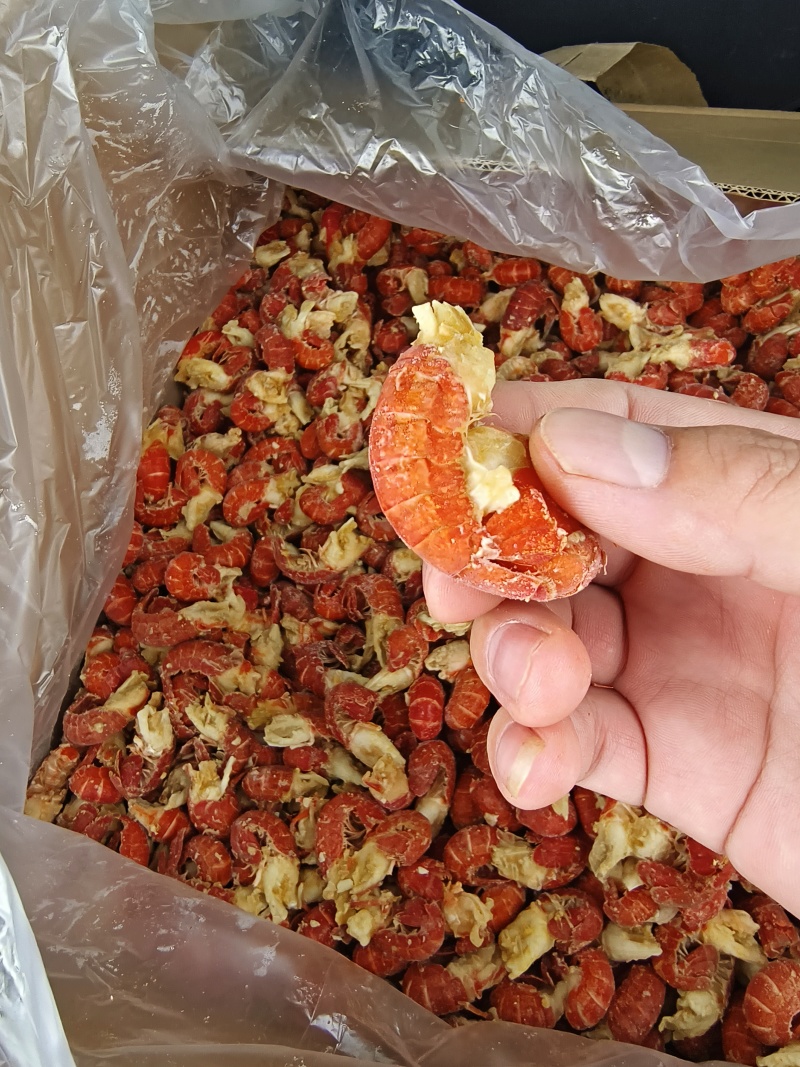 精品一级龙虾尾。