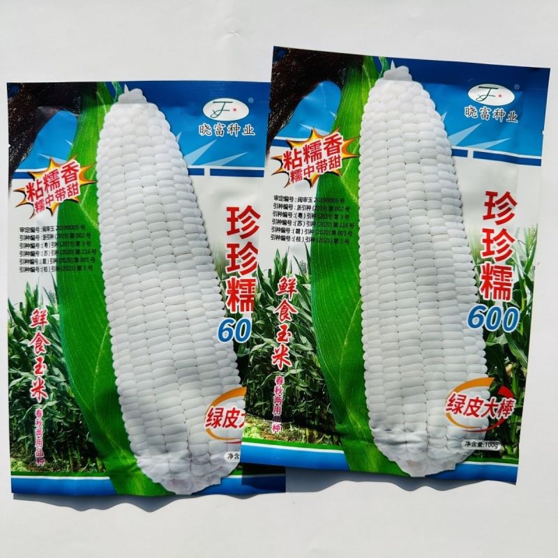 珍珍糯600玉米种子粘糯香糯玉米种子大号糯中带甜粘玉米种