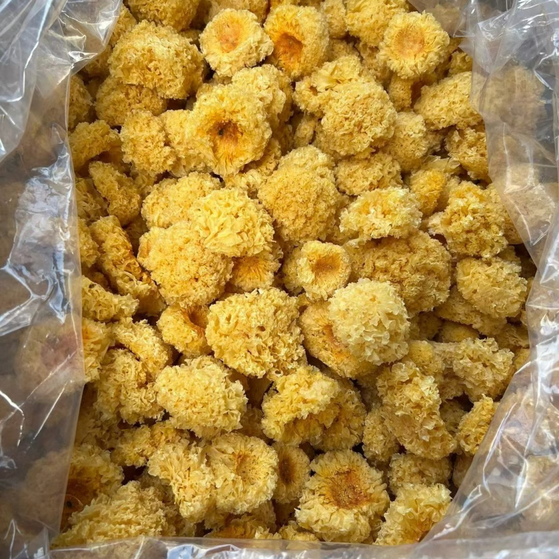 椴木小银耳