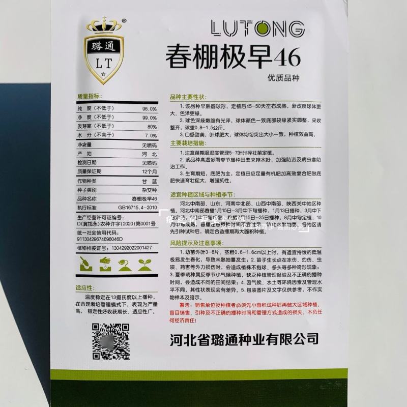 春棚极早46甘蓝种子特早熟圆球型包头菜种子包心莲花白种子