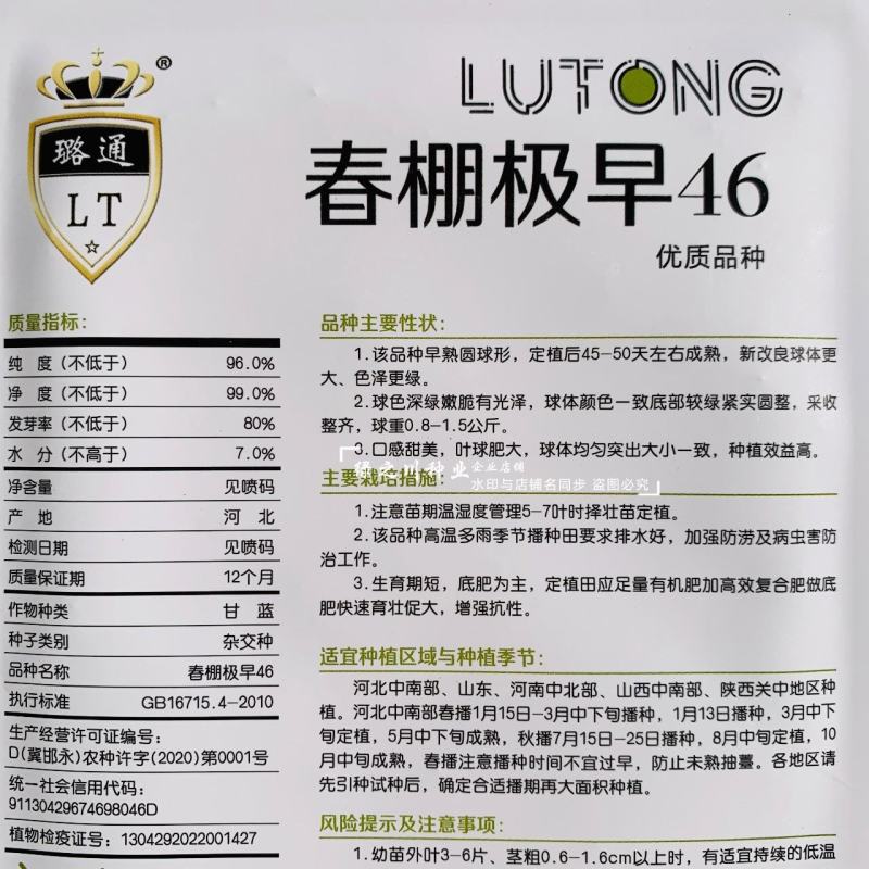 春棚极早46甘蓝种子特早熟圆球型包头菜种子包心莲花白种子