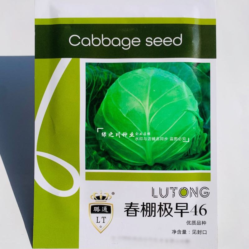 春棚极早46甘蓝种子特早熟圆球型包头菜种子包心莲花白种子