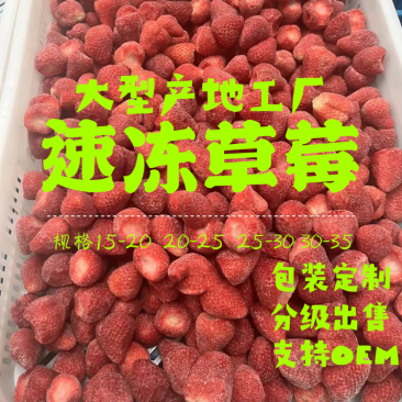 速冻草莓冷冻甜查理草莓工厂原料供应提供定制加工